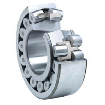 NSK 21314EAKE4C3 Spherical Roller Bearings