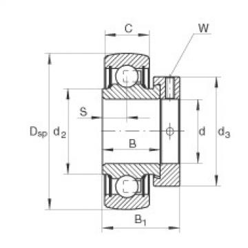 Bearing RA100-NPP-B INA