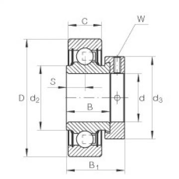 Bearing RA100-NPP INA