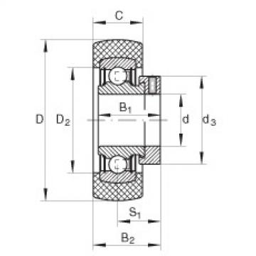 Bearing RABRB15/47-FA106 INA