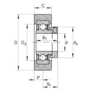 Bearing RCSMB20/65-FA106 INA