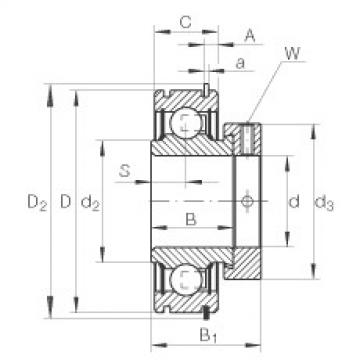 Bearing RAE20-NPP-NR INA