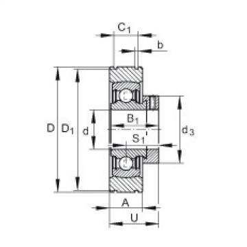 Bearing PE25 INA