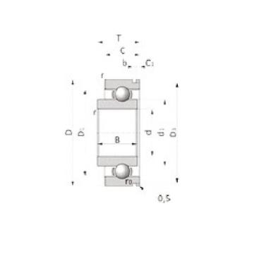 Bearing LJ25Q41M1=43 RHP