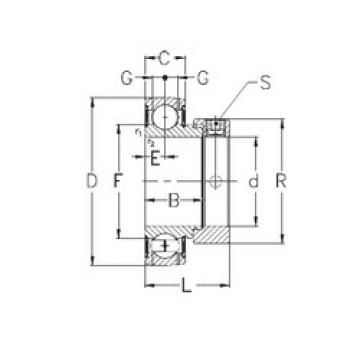 Bearing GRAE20-NPPB NKE