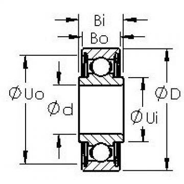 Bearing RW2ZZ AST