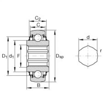 Bearing SK100-206-KRR-B-AH11 INA