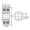 Bearing SQ108-100 AST