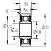 Bearing SRW144-TT AST