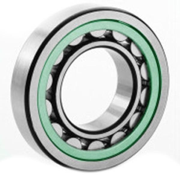 FAG BEARING 20204-TVP Spherical Roller Bearings #1 image