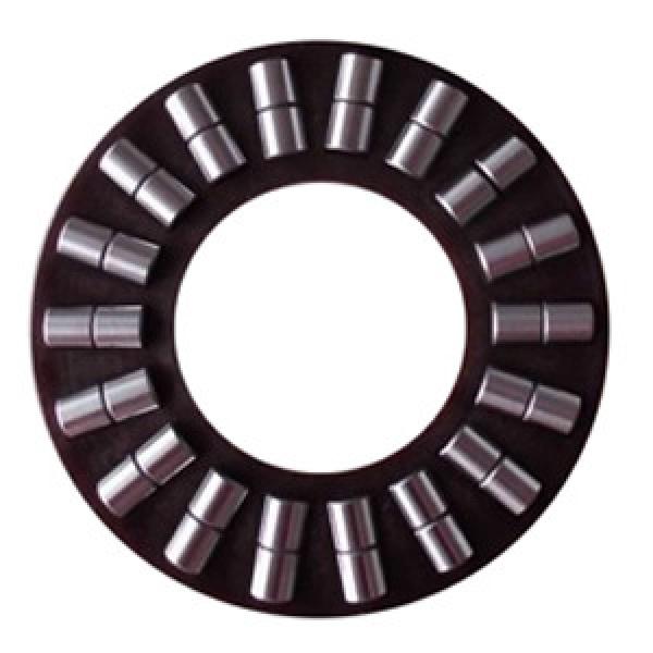 INA K89306-TV Thrust Roller Bearing #1 image