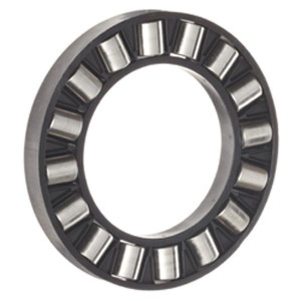 INA K81107-TV Thrust Roller Bearing #1 image