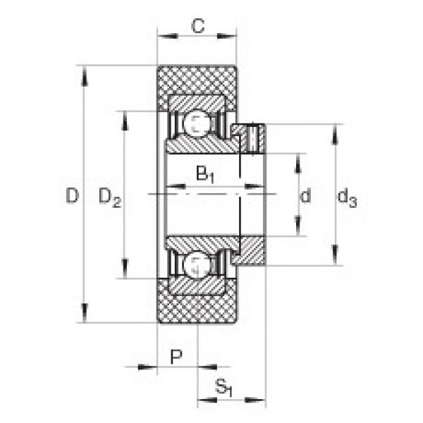 Bearing RCSMA30/65-FA106 INA #1 image