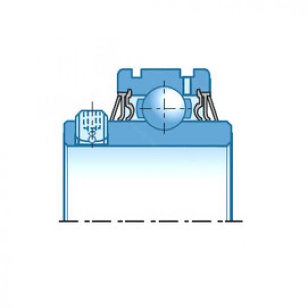 Bearing UCS310D1 NTN #1 image